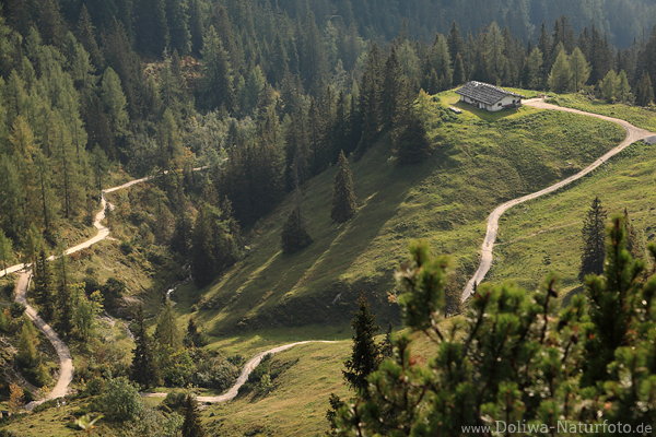 Alpental gewundene Waldpfade Draufsicht Naturfoto mit Alm Htte