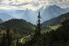 915041_Alpengipfel in Gegenlicht Bergtal Naturbild Wanderweg Kiefer Wlder Naturfoto