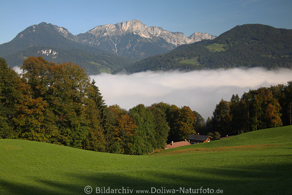 Berchtesgadener Hochthron Tal in Nebel Morgenstimmung ber Grnwiese Bergpanorama