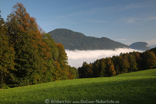 Berchtesgadener Bergtal im Nebel Morgenstimmung Naturfoto