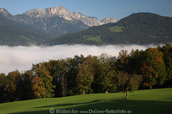 Berglandschaft Berchtesgadener AlpenPanorama Tal in Nebel Grnwiese Naturidylle