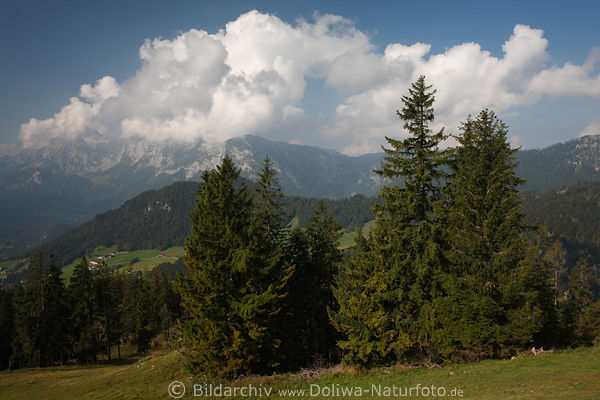 Hochschwarzeck Natur Bergpanorama vom Hirschkaser Blick ins Grntal