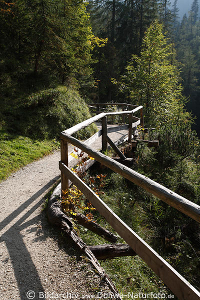 Gelnderweg geschlngelter Wanderpfad durch Bergwald-Bume oberes Klausbachtal
