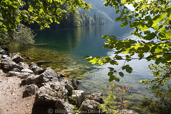 eeuferstille Foto Landschaft schne Oase am Wasser Naturbild Steine Grnbltter in Sonnenlicht