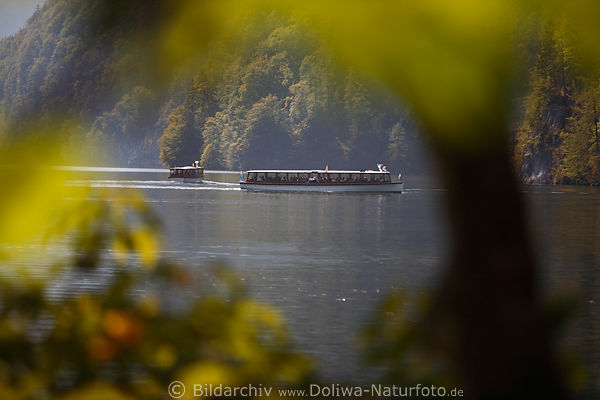 Knigssee Schiffe Foto durch Uferbltter Wassertour romantische Seenlandschaft