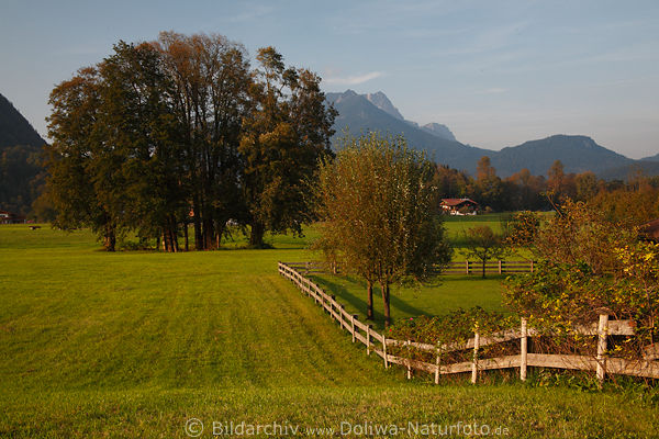 Oberschnauer grne Wiesenplateau Naturfoto Ferienortes mit Bergblick