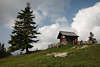 913525_Kiefernbaum an Toter Mann Bezoldhtte in Zaun Naturfoto mit Wanderer Berg-Besucher