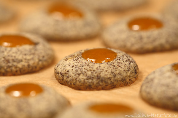 Mohnkekse Adventsgebck Produkte-Fotodesign runde Pltzchen mit Orange-Marmelade
