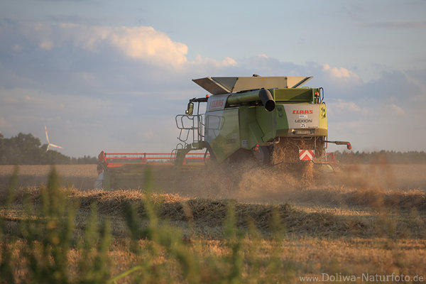 Mahdstroh Foto Getreidereste hinter Mhdrescher Erntefeld mhen hinter herumfliegenden Strohstaub