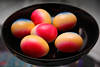 800496_ Osterei Fotografie: Buntbemalte Ostereier Foto im schwarzem Teller, farbige Eier in bunten Farben