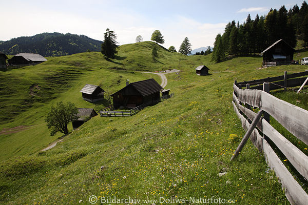 Waisacher Almpanorama Krnten Berge grne Oase Gailtaler Alpen Naturbild