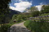 1202208_Gnoppnitzer Dorfbergweg Foto Wandern in Alpenlandschaft grüne Naturoase Kreuzeckgruppe Gipfelblick