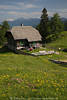 1202850_Waisacher Almhütte Bilder in Bergidylle Gailtaler Alpen grüner Natur Landschaftsfoto mit Wanderer an Jausenstation