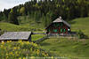 1202869_Waisacher Almwiese Frühlingsblüte Foto um Berghütte in Alpenlandschaft grüner Natur