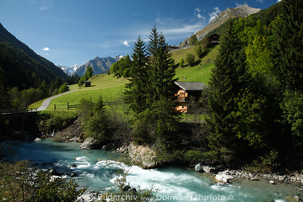 Iselbach Berge Wasserfluss steile Grnwiesen Naturfoto Alpenlandschaft Prgraten am Grovenediger