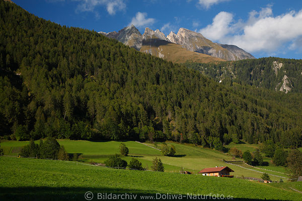 Virgental Grnwiesen Alpengipfel Naturfoto Hochlage Bergland Grnlandschaft Osttirol