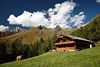 003507_Gottschaunalm Alpenlandschaft grüne Almwiese Kühe am Bauernhaus Bergspitzen bäuerliche Naturidylle