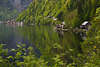 Hallsttter See grne Bucht Naturfoto Alpensee Frhlingslandschaft
