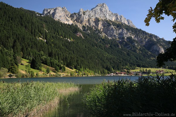 Haldensee Bergkulisse ber Wasser Schiff Uferpanorama Naturfoto 212987 Alpenbild