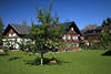 Dorfcafe Haldensee Gartenidylle Foto 212961 Grünwiese Apfelbaum Früchte Bergblick