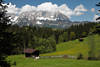 Bergalpe Naturfoto Weide Kuh Almwiese Frühling vor Kaisergebirge Alpenlandschaft Bild