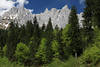 Gipfel über Bergwald Fotodesign Frühlingsbild grüne Bäume Felspanorama Wilder Kaiser