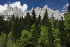 Naturdesign Foto Felsgipfeln über Frühlingswald Alpenbild Gebirge Grünbäume Panorama