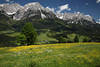 1301147_Oberberg Blumenwiese Kaiser-Blick Panorama über Tal grüne Landschaft Foto