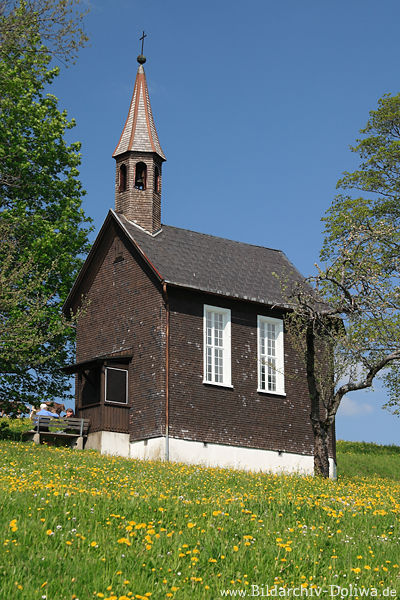 Kapelle Amenegg in Gelbwiese Frhjahrsblte unter Blauhimmel