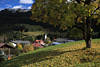 Alpenort Hirschegg Herbstbild Naturidylle Kleinwalsertal Foto Laub um Baum ber Kirchl in Sicht