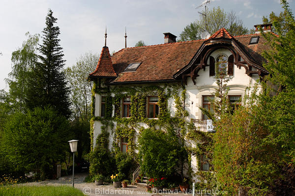 Lochau Gasthof Villa in Bregenzerwald grner Natur 