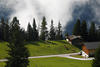 Hochalmweide Grünoase Kuhwiese Hütte Ställe vor Nebelschwaden im Zillertal Naturbild