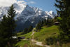 Schneegipfel Grinberg über Zillertal Grünwiese Almpfade Naturfoto Alpen Wanderurlaub