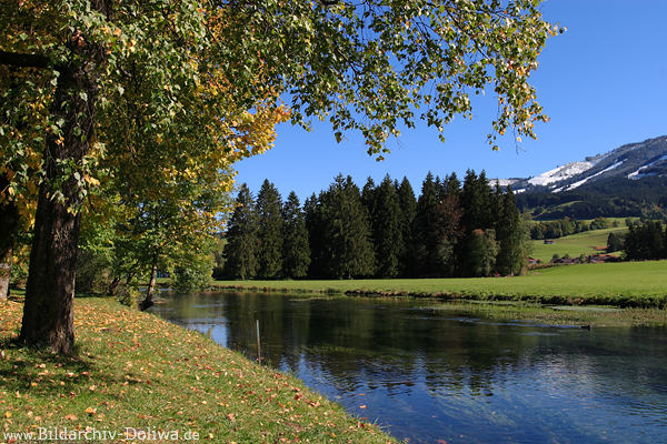 Fluss Iller Ufer Bume Laub Alpwiese Berglandschaft Fischen in Oberallgu
