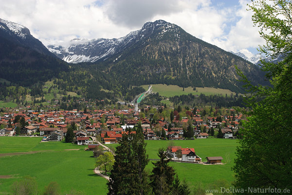 Alpenstadt Oberstdorf Huser Grnewiesen Frhlingsfoto Naturidylle Bergkulisse Allgu-Gipfel