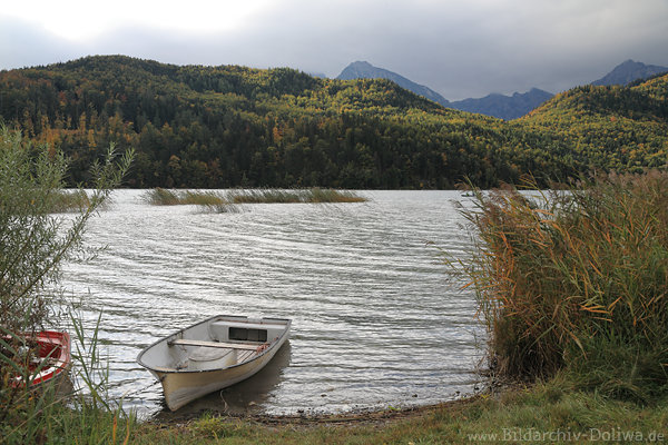 Weissensee Wasserlandschaft Uferboote Allger Alpenblick