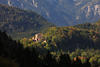 Schloss Hohenschwangau in Naturfoto Ammergebirge 811426 Bild Allgäu Wälder Berglandschaft