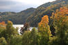 Weissensee Naturfoto: Uferbäume Bergwald Wasserlandschaft Herbstbild Allgäu Alpensee bunte Farben