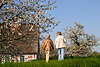 50330_ Frauenpaare Foto auf Deich spazieren gehen, Altes Land Obstbäume, Kirschblüte Bild