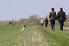 50465_ Senioren Paare auf Deich in Foto Cranzer Hauptdeich im Frühling, Spaziergang auf Elbdeich im Frühjahr
