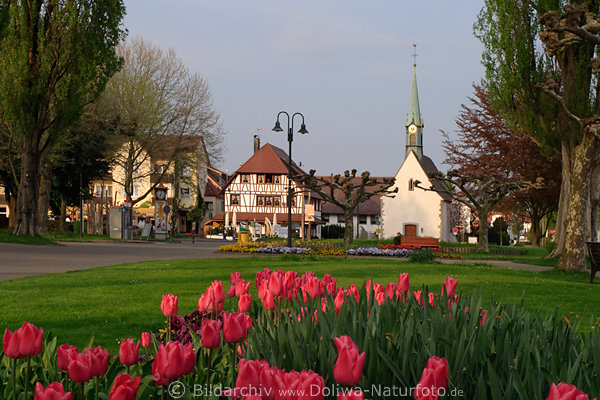 Uhldingen berlinger See Promenade Blumen vor Kirche Allee Bodensee-Stadt