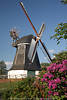 Worpsweder Windmühle Bilder Erdholländer Weißrumpf weiss-rot Flügel Fotos Mühlenkopf mit Schieferplatten