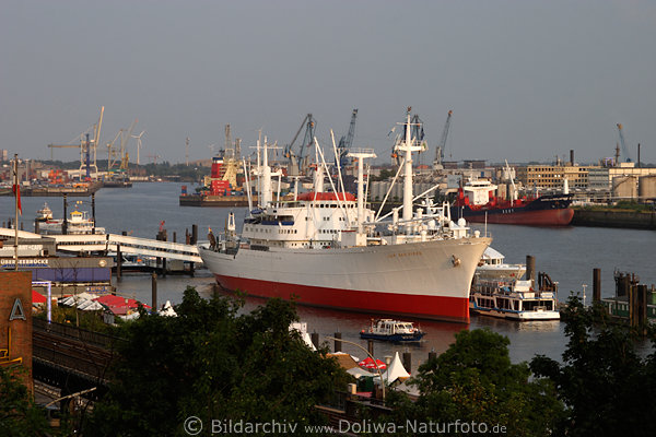 Elbe Hafenpanorama Fluss Wasserlandschaft, Schiffe, Cap San Diego, Werftkrne