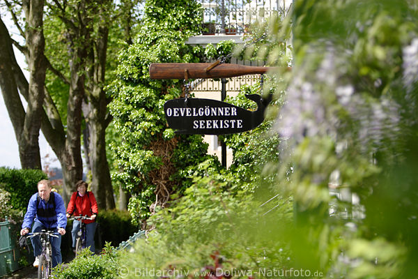 Radfahrer Frhling Elbweg an Oevelgnner Seekiste Schild