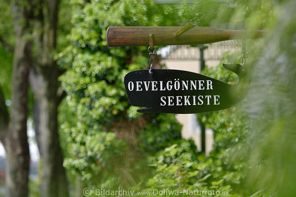 Walfisch-Schild Oevelgnner Seekiste Frhlingsbild Elbe velgnne Grnufer Spazierweg