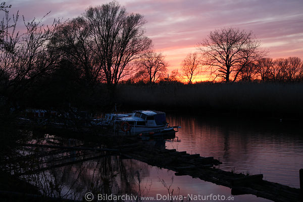 Elbe Uferbume Rothimmel Naturstimmung Harburg Wasserbucht Bootshafensteg