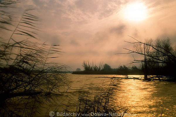 Wasserlandschaft Naturbild Goldstimmung in Wind Sturm Unwetter an Sderelbe Neuenfelde