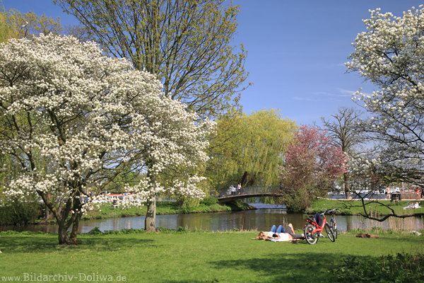 Hamburg Alsterparkwiese liegende Menschen Frhlingsblte Naturoase