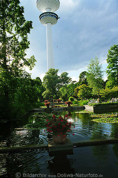 Fernsehturm ber Planten un Blomen Park Wasserterrassen in Hamburg