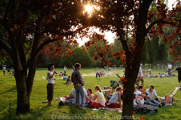 Picknick auf Alsterwiese in Hamburg Park Mdels & Jungs Treffen bei Sonnenuntergang